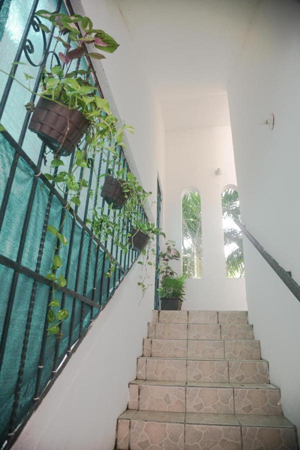 Navieros Rooms Bacalar Esterno foto